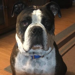 Meet your Posher, Anthony